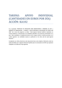 tarifas: apoyo individual (cantidades en euros por diía