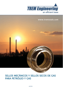 sellos mecánicos y sellos secos de gas para petróleo y gas
