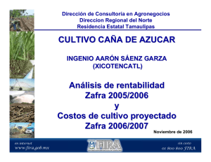 Caña de azúcar - Ingenio Aarón Sáenz Garza