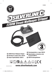 2200W Steam Wallpaper Stripper