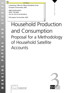 household production and consumption proposal for a methodology