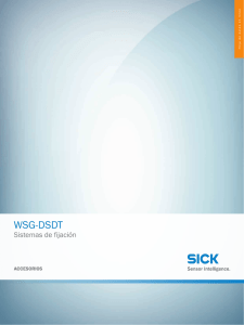 Sistemas de fijación WSG-DSDT, Hoja de datos en línea