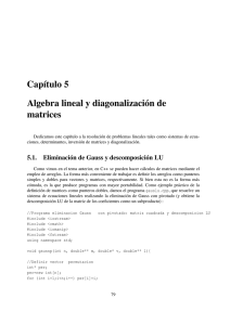 Capítulo 5 Algebra lineal y diagonalización de matrices