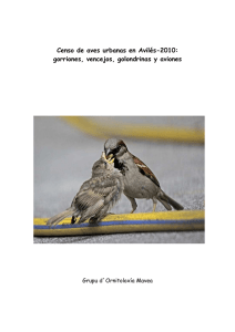 Censo de aves urbanas en Avilés