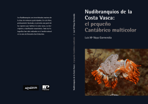 Nudibranquios de la Costa Vasca: el pequeño Cantábrico multicolor