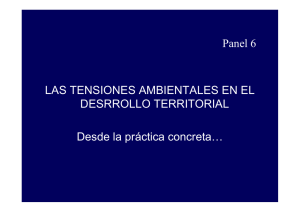 Panel 6 LAS TENSIONES AMBIENTALES EN EL DESRROLLO