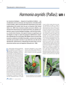 Harmonia axyridis(Pallas): un n - TecnoVet