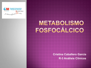 Metabolismo fosfocalcico