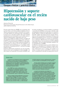 Hipotensión y soporte cardiovascular en el recién nacido de bajo peso