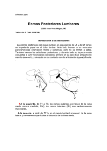 Ramos Posteriores Lumbares