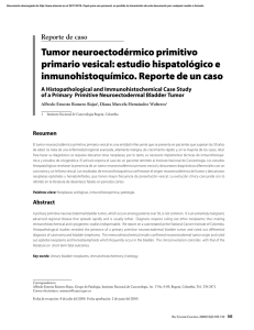 Tumor neuroectodérmico primitivo primario vesical