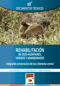 rehabilitación - Fundación Oso Pardo