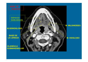 ESPACIO SUBLINGUAL M. MILOHIOIDEO M. HIOGLOSO M