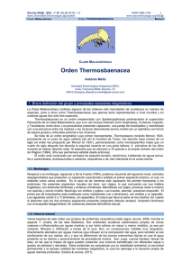 Orden Thermosbaenacea - Sociedad Entomológica Aragonesa