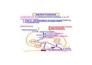 Serotonina