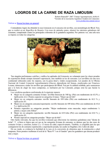 Logros de la carne de raza Limousin