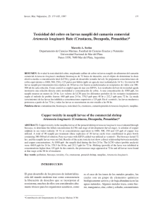 Toxicidad del cobre en larvas nauplii del camarón comercial