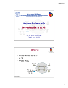 Introducción a WAN Temario - Departamento de Telemática
