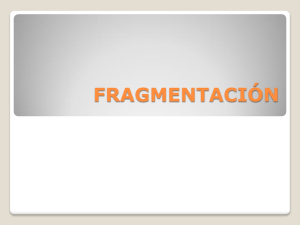 Presentación: Fragmentación.