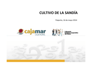 Cultivo de la sandía. José Mariano Aguilar (PDF 12,08 MB.)