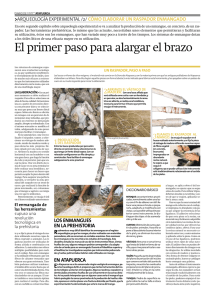 Raspador - Diario de Atapuerca
