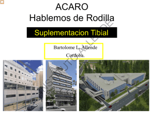 Diapositiva 1 - Instituto Allende