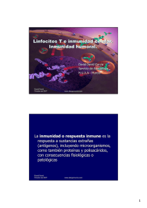 Linfocitos T e inmunidad celular. Inmunidad humoral.
