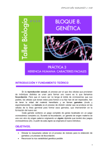 4_ESO_AMPL-Practicas_4_files/GENETICA 3