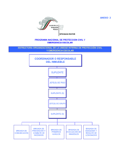 estructura organizacional de la unidad interna de proteccion civil