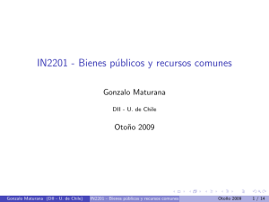 IN2201 - Bienes públicos y recursos comunes - U