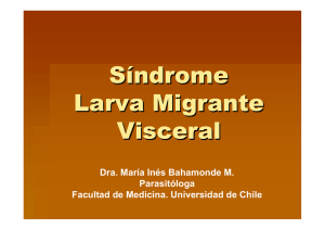Síndrome Larva Migrante Visceral - U