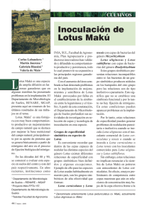 Inoculación de Lotus Makú - Instituto Plan Agropecuario