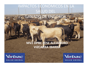 impactos económicos en la salud del ganado de engorda.