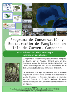 Programa de Conservación y Restauración de Manglares