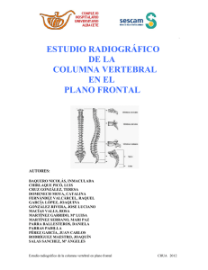 Estudo Radiológico Columna vertebral plano frontal.