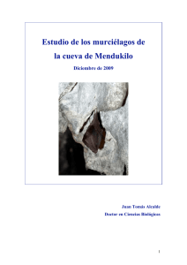 Estudio de los murciélagos de la cueva de Mendukilo