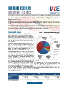 Informe Cecinas, año 2013