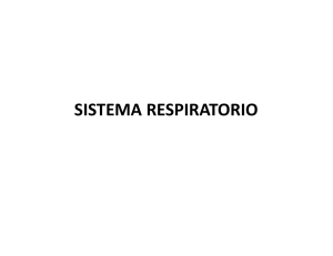 Sistema Respiratorio y Excretor