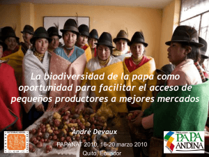 El reto de articular productores de papas nativas de escasos