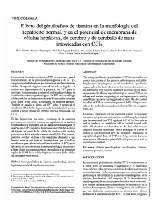 Efecto del pirofosfato de tiamina en la morfología del hepatocito