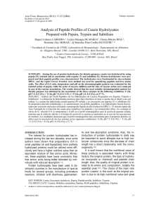 Analysis of Peptide Profiles of Casein Hydrolysates Prepared with