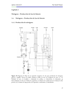 Capítulo 4 Nitrógeno – Producción de Gas de Síntesis 1.4