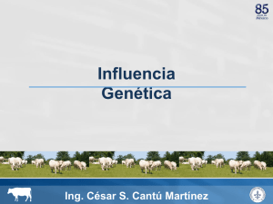 Influencia Genética - Charolais Charbray Herd Book de México