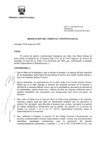 TRIBUNAL CONSTITUCIONAL