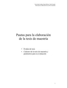 Pautas para la elaboración de la tesis de maestría