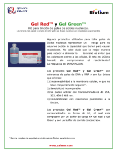 Gel Red y gel green
