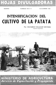 CULTIVO DE LA PATATA - Ministerio de Agricultura, Alimentación y