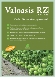 Valoasis RZ (PDF 0,8 MB)