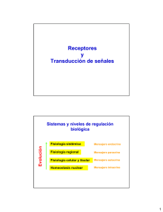 Receptores Receptores y Transducción de señales - U