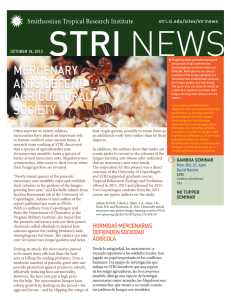 STRI News - Smithsonian Tropical Research Institute